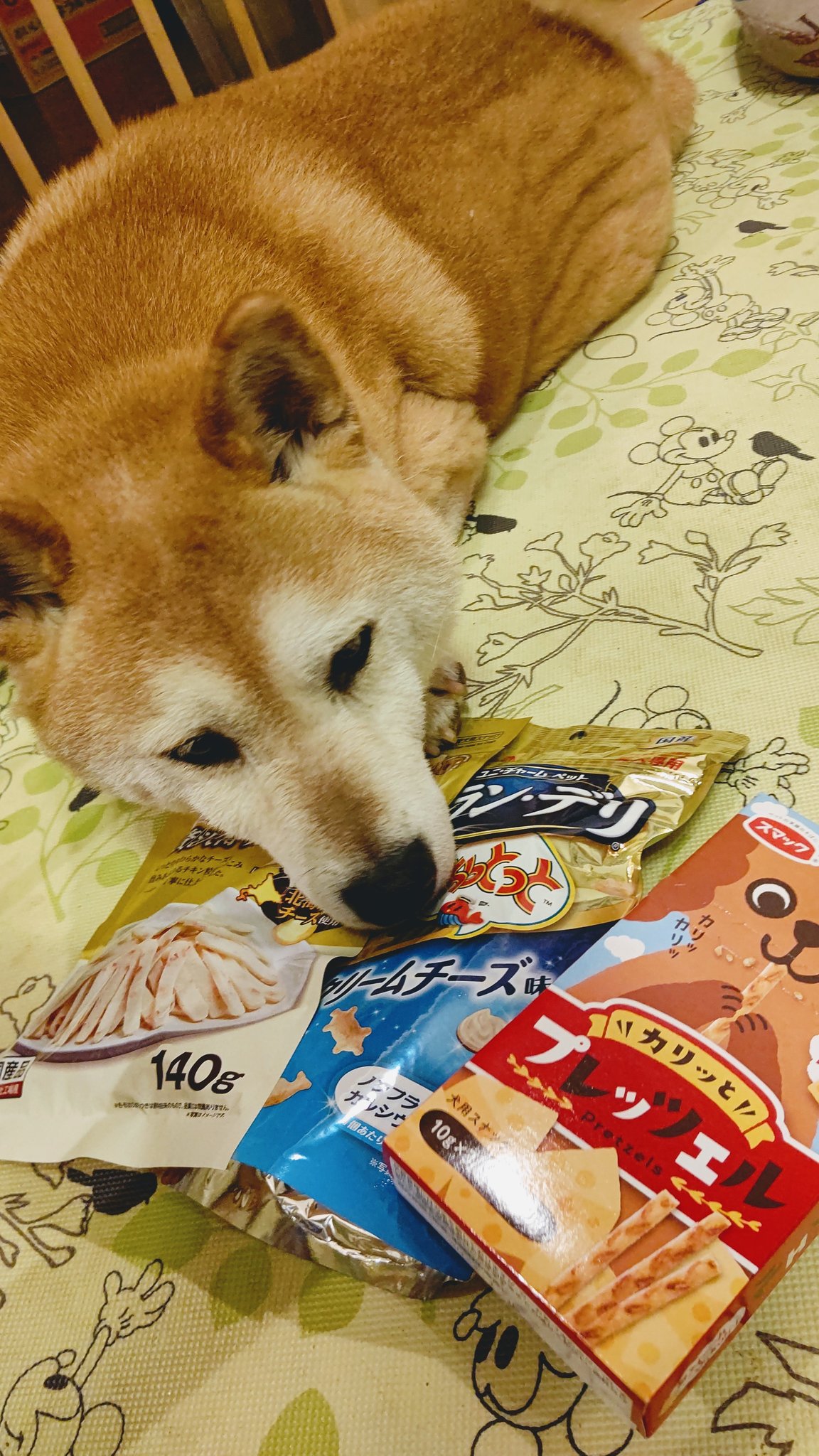 犬のダイエット Twitter Search Twitter