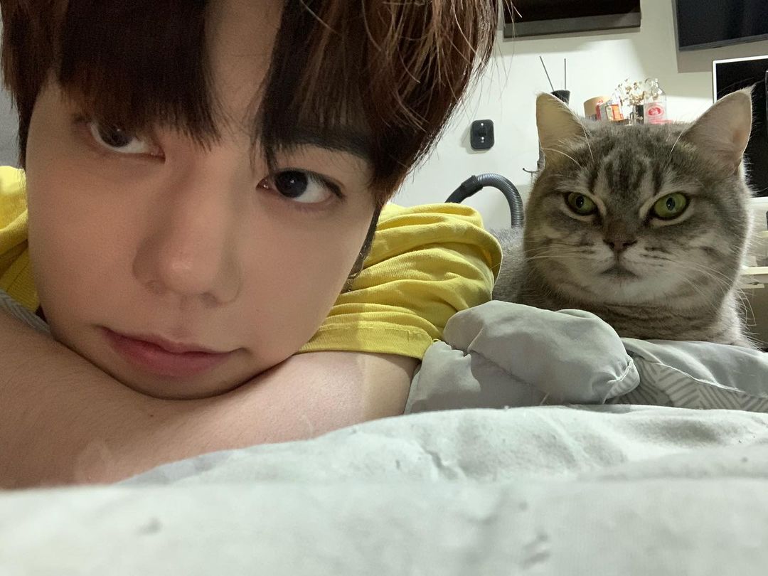 NFlyingFr_Fan's tweet photo. 13.08.2021 #CHAHUN

[ Instagram | cchh_0712 ]

"Mon joli bébé 😻
#hunstagram #gomyammi #romang "

@NF_official_jp @NFlyingofficial #nflying #엔플라잉 #차훈 

1/2 https://t.co/GcclzLF76d