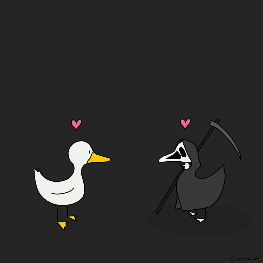 labducks tweet media