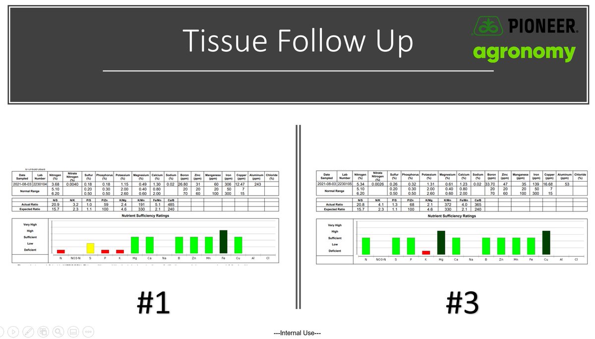 phhermans's tweet image. Soybean learnings! 👨‍🎓How much does ponding of water and poor nodulation in beans affect the soybean plant? My follow up  to see exactly how much. Our plants get stressed and rightly so...neat to see just how much is goin on internally. #ontag #AgronomyNerd #PlantVsSoilVsTissue