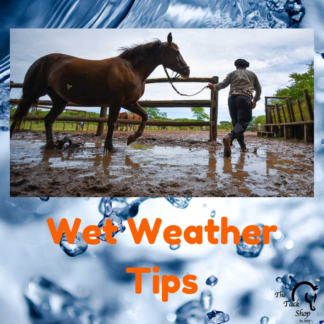 thetackshop's tweet photo. Need some helpful tips to keep your horses hooves in good condition all year long? Look no further because here at The Tack Shop, we've got you covered. 

https://t.co/IgeCW6AJ8R https://t.co/s37RnPMJci