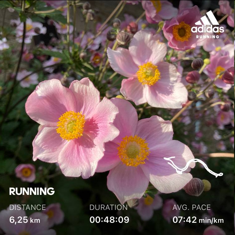 RiaRunning's tweet photo. 13.08.2021 Friday 🏃🔍

This Geocaching thing kinda hooked me now! Got the last waypoints of the Adventure Lab cach but didn't find the final. So sad. 🥺 Will give it another try soon. 4km searching, then 6km jogging for today.

#running #fitness #geocaching https://t.co/ruh08XowaJ
