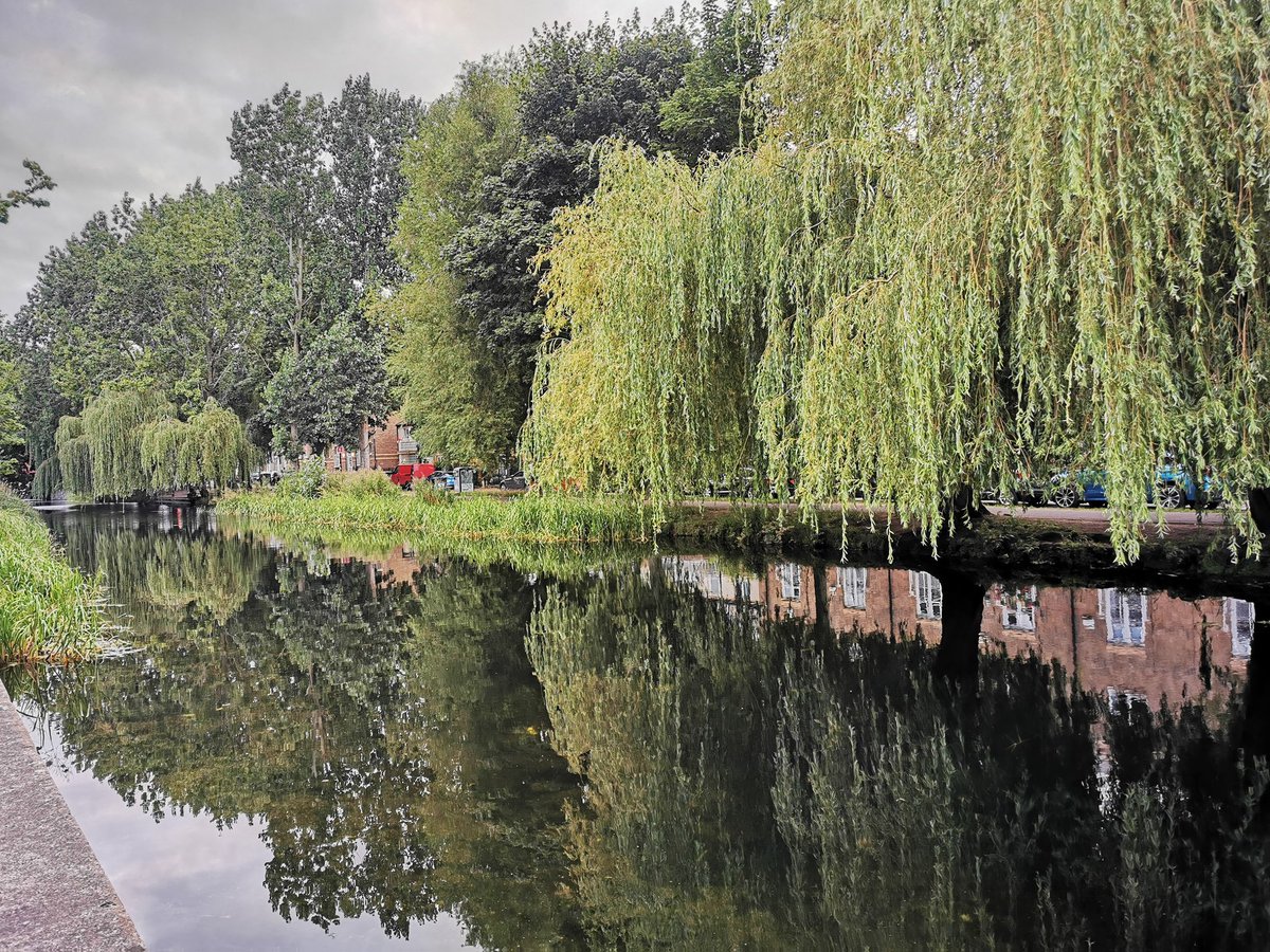Dublin 💙❤️
#CanalWalks #RandomWalks #Canal #Green #Water #Portobello #Dublin #DiscoverIreland #Eire #Walks #Explore #Earth #Photography #PhotoLove #Photos #Nature #NatureLove #Reflection