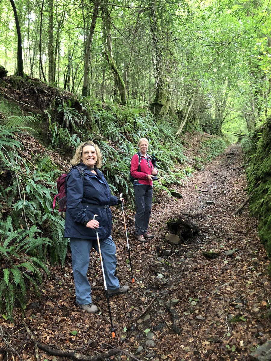 millman_diane's tweet photo. @RamblersGB This morning I walked with friends up a long mossy green lane leading up to #Dartmoor #magical #Devon #walkmyway https://t.co/Qk844MUOtu