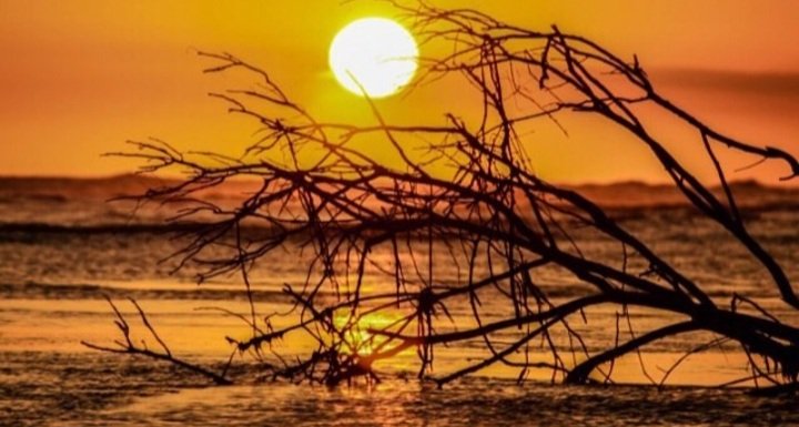 Después de un largo viaje