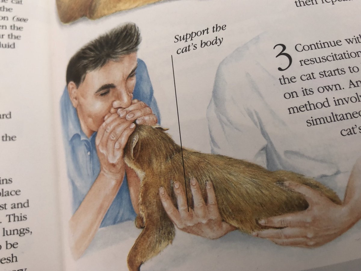 dannyodwyer was here tweet media