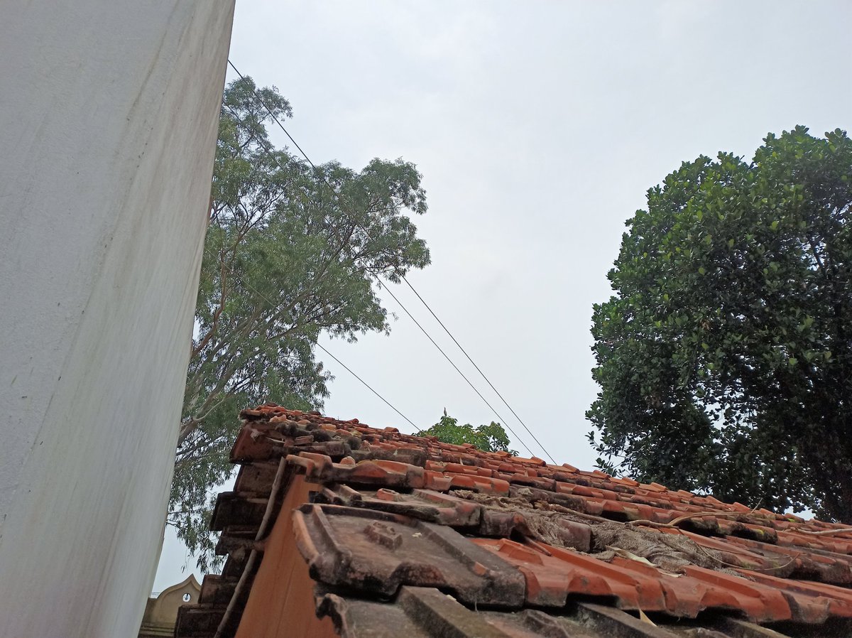 tapash7264's tweet photo. @Rabindranathji Sir mere ghar me upar se 11000 high voltage taar paar hua hai kuch kijiye....10 12 baar se jada tweet application daal chuke hai @HemantSorenJMM https://t.co/ZbOm58FQfk