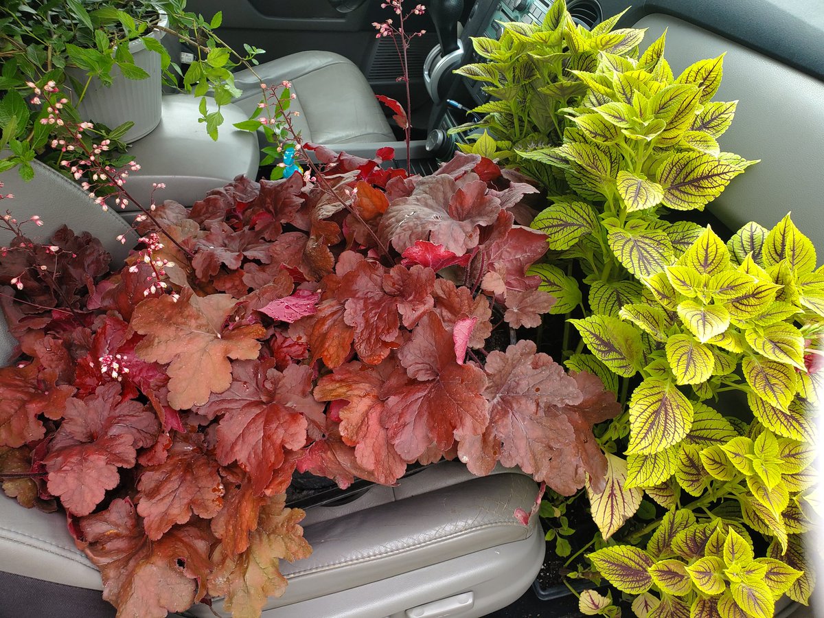 Madero Middle School - Chicago Public Schools tweet media