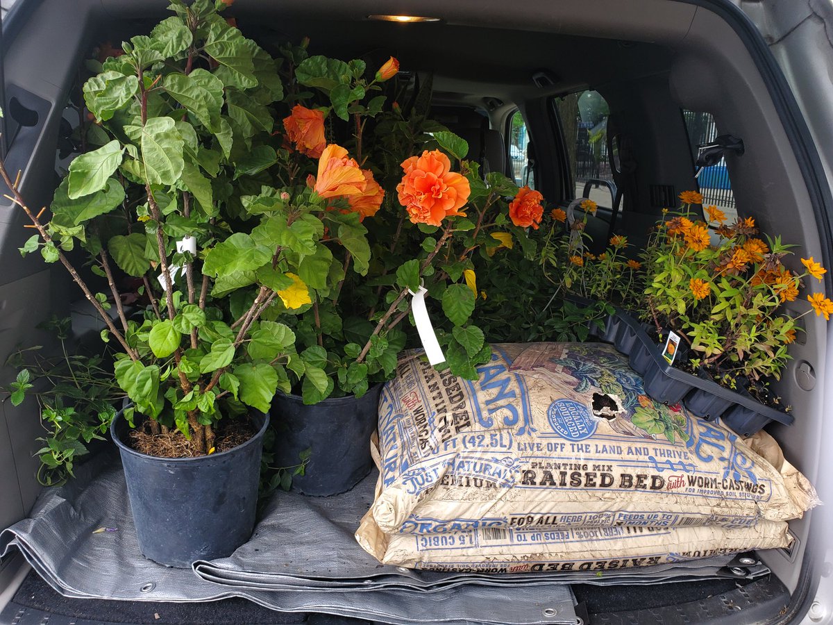 Madero Middle School - Chicago Public Schools tweet media