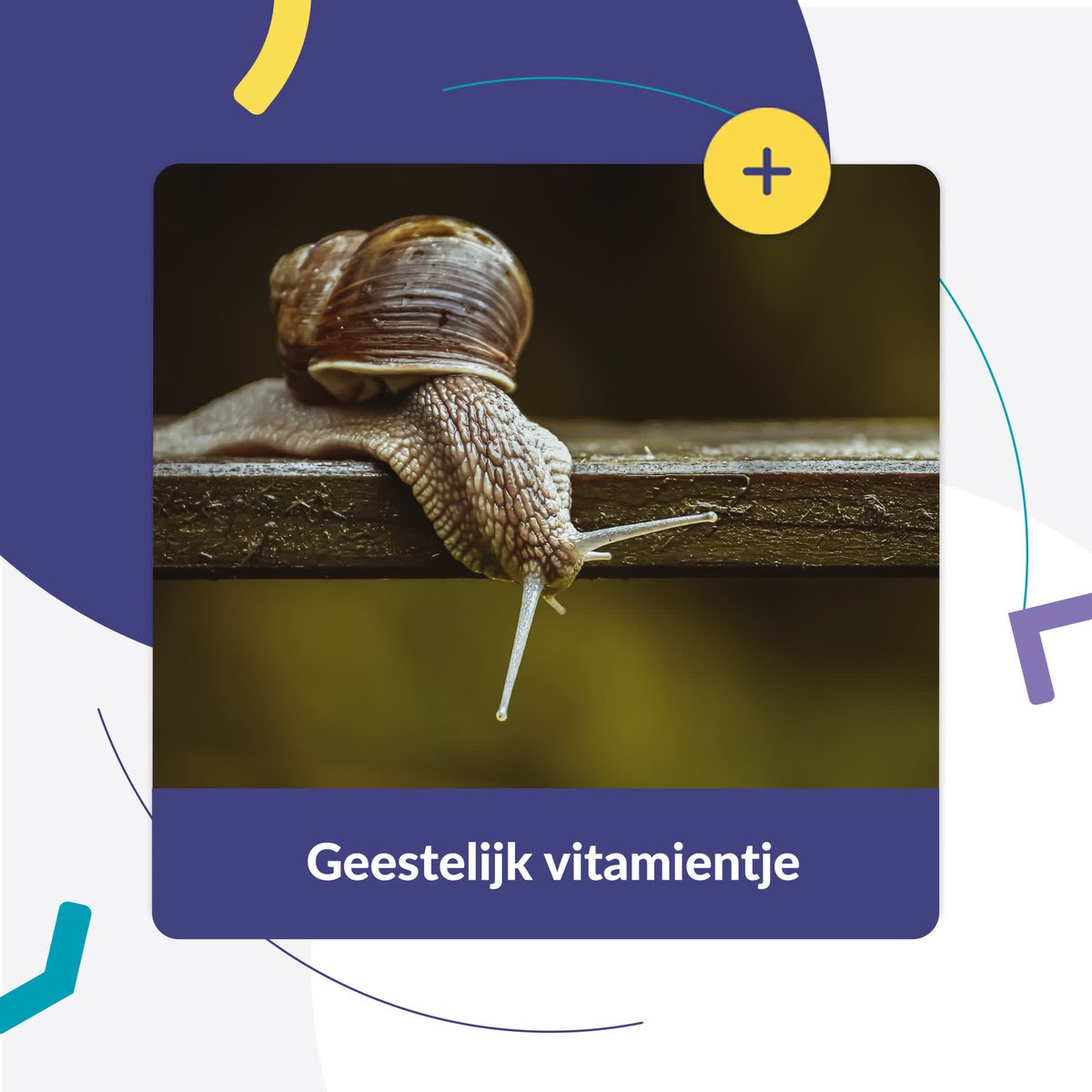 goed_in's tweet photo. Een christen is de slak en het huisje is de Bijbel. De slak kruipt de wereld door, maar zodra er onraad dreigt schuilt hij in zijn huisje.

Zie https://t.co/guGzN8bNeq voor meer 'Geestelijke vitamientjes' om te delen met jongeren uit je gemeente

#goedinvorm https://t.co/vFJQvvoWVs