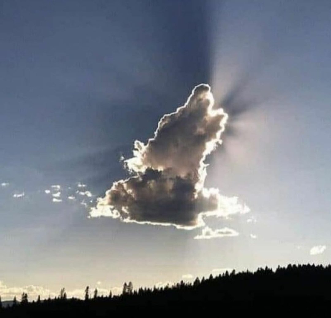 micjush's tweet photo. In YOUR OWN WORDS, tell me WHAT IS $JEJU the doge #JEJUDOGE? I will SEND $25 of $eth #ethereum to ONE NEW FOLLOWER with the best comment so you can BUY $jeju #jejudoge before BLAST OFF!!!. $jeju #jejudoge #jejuisland $eth #ethereum 
Please follow, share, like and retweet. https://t.co/X2tcBMMTNR