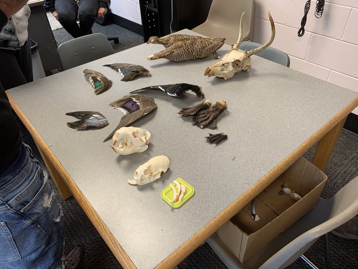 mshayduck's tweet photo. Hitting the ground running this week with our very first #BrightFutureFriday, a series of guest speakers from the community coming to talk to us about their careers. Today featured Jake Shurba, a wildlife biologist from Clemson University! Thanks Jake! @ClemsonUniv #ourndsec https://t.co/BDMMIRaOH4