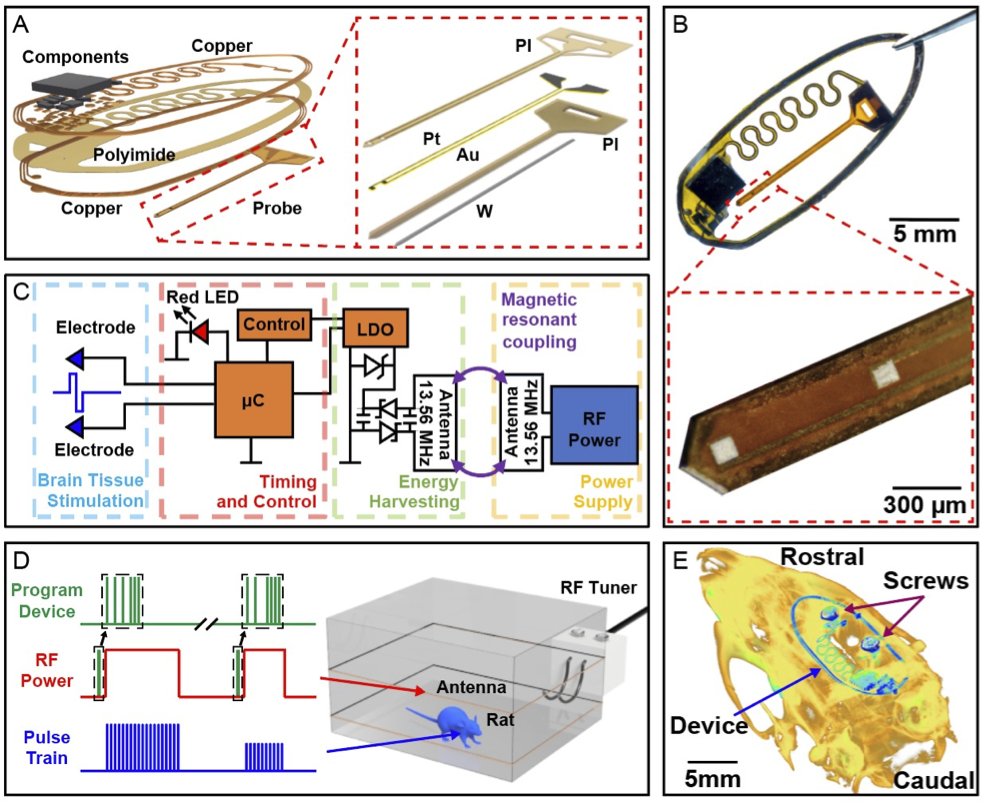 Drew Richardson (@drewneuro) on Twitter photo Pleased to share new work with <a href="/PhilippGutruf/">Philipp Gutruf</a>
on a wireless, battery-free, implantable electrical neurostimulation system, published with <a href="/SpringerNature/">Springer Nature</a>. #neurotech #brainstim
rdcu.be/ctYP1 Pleased to share new work with <a href="/PhilippGutruf/">Philipp Gutruf</a>
on a wireless, battery-free, implantable electrical neurostimulation system, published with <a href="/SpringerNature/">Springer Nature</a>. #neurotech #brainstim
rdcu.be/ctYP1