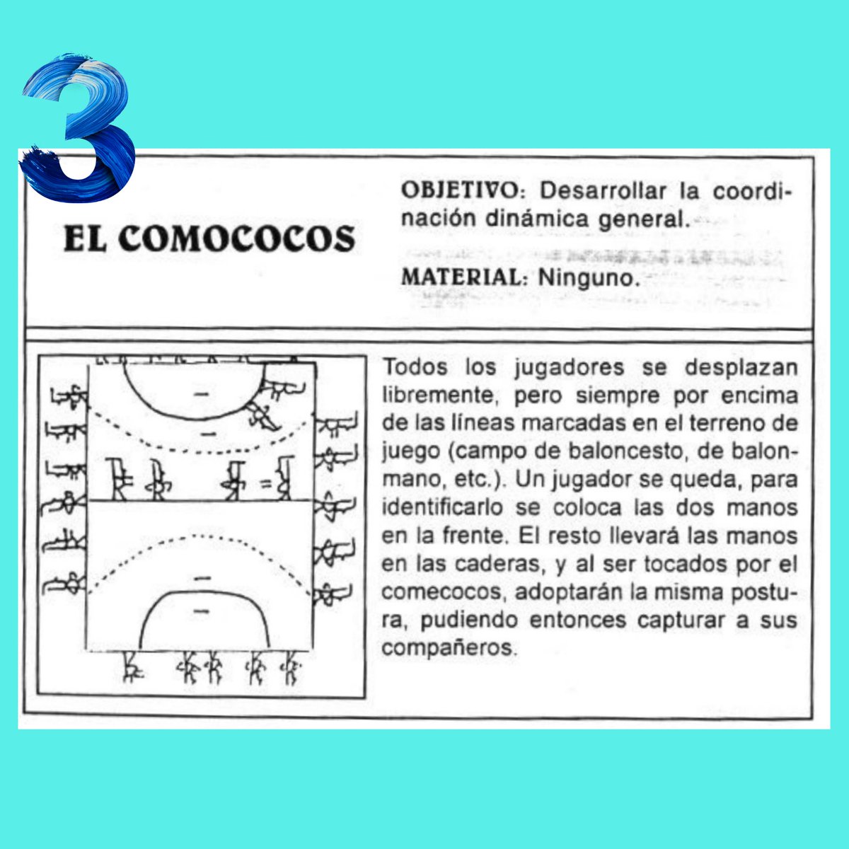 Diver Educación Física tweet media