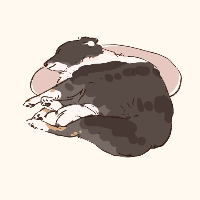 some old sketches of my dog 
