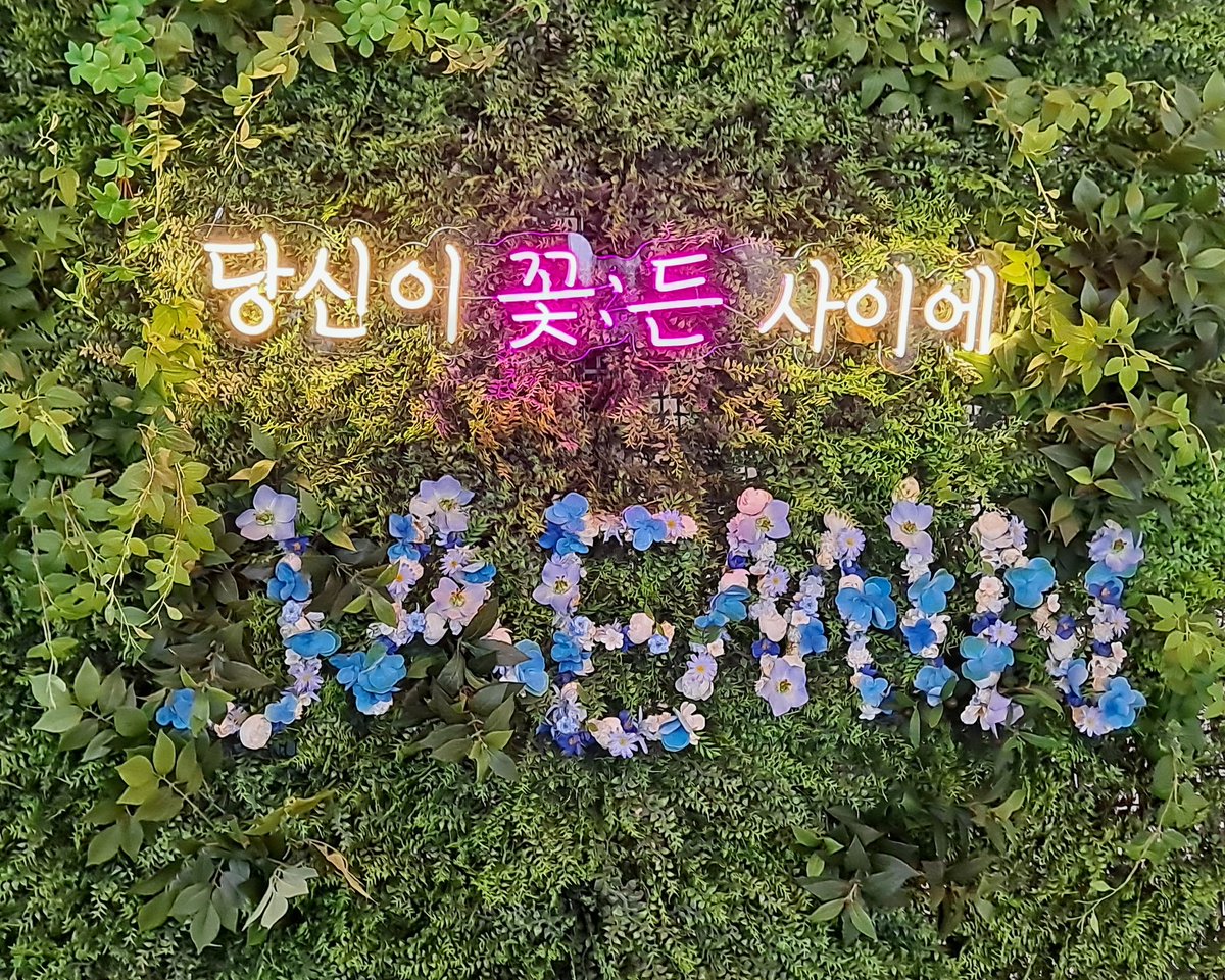 si_jeol's tweet photo. 7. 카페 꽃든
#재민꽃이_피었습니다

안왔으면 다른 분들 후기 보며 두고두고 후회했을 것 같음... 아쉽게 재민꽃이 소진된 후 가게 돼서 아쉬웠지만 그걸 잊을 만큼 예쁜 꽃들이 많았다. 특전은 말모...♡ 너무 예뻐서 머리 팍팍 쳤음ㅠㅠ https://t.co/zpLQDYeXtq