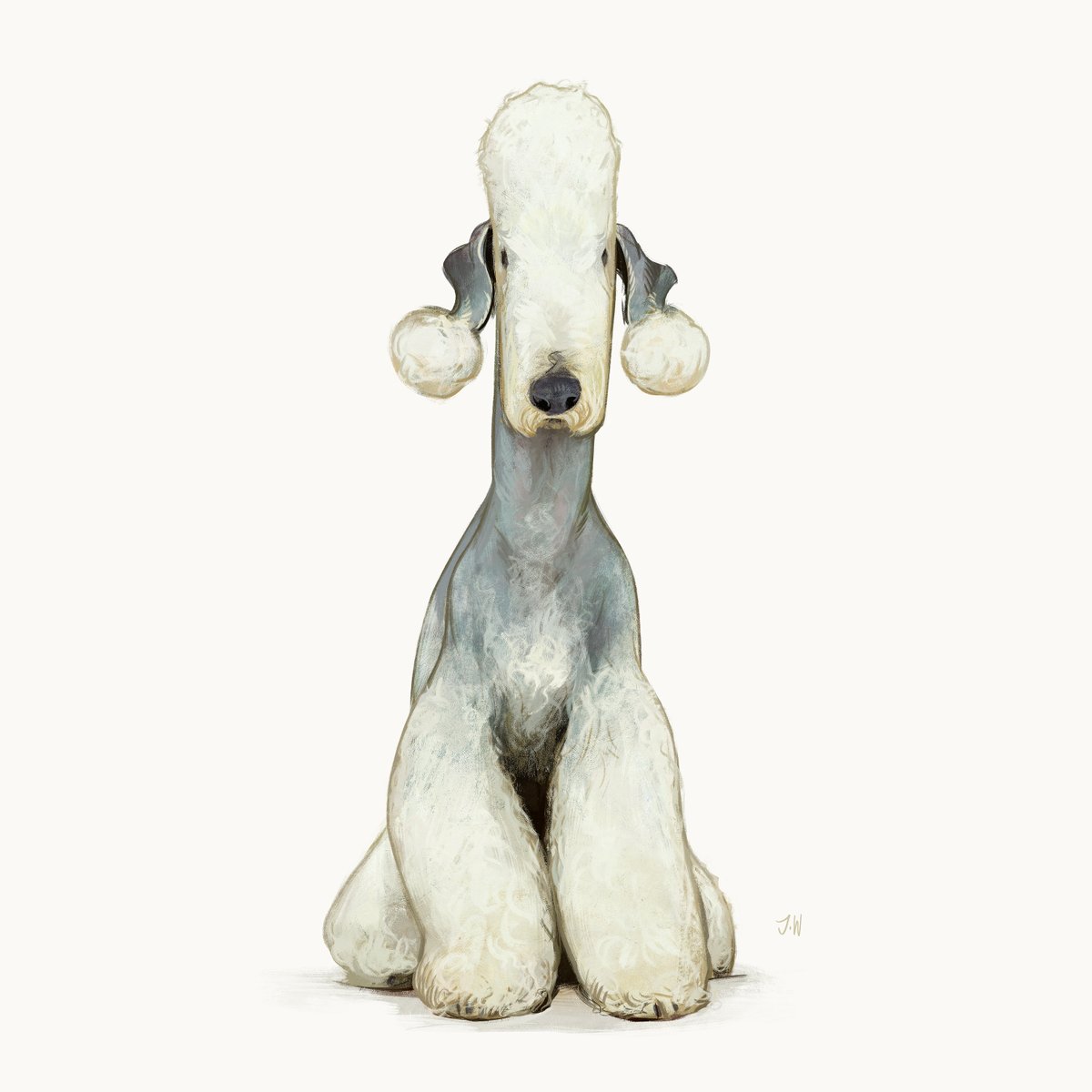 Znoddenn's tweet photo. #doggust day 13, Bedlington Terrier. I saw pics of them from the front while looking for references and it looked so silly I just had to draw one like that. https://t.co/znaJatNFqh