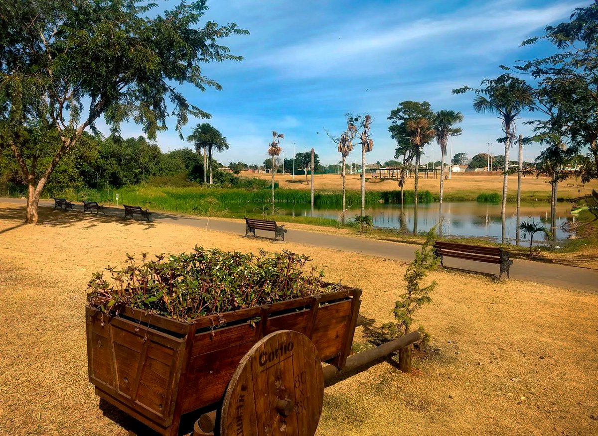 SimpleAgro's tweet photo. Lugares em nossa cidade. 📸🌴
Você conhece esse?
📌Parque Zilda Arns Veneza - Rio Verde/GO
Foto: @SavioMarcos
#rioverde #goiás #praça #lugarbonito #sejasimples https://t.co/u4h3HL6amE