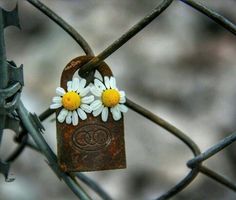 🌿🌿
"Vous avez raison. Il faut s'aimer, et puis il faut se le dire, et puis il faut se l'ecrire , et puis il faut se baiser sur la bouche, sur les yeux et ailleurs."

Victor Hugo.     🌿🌿