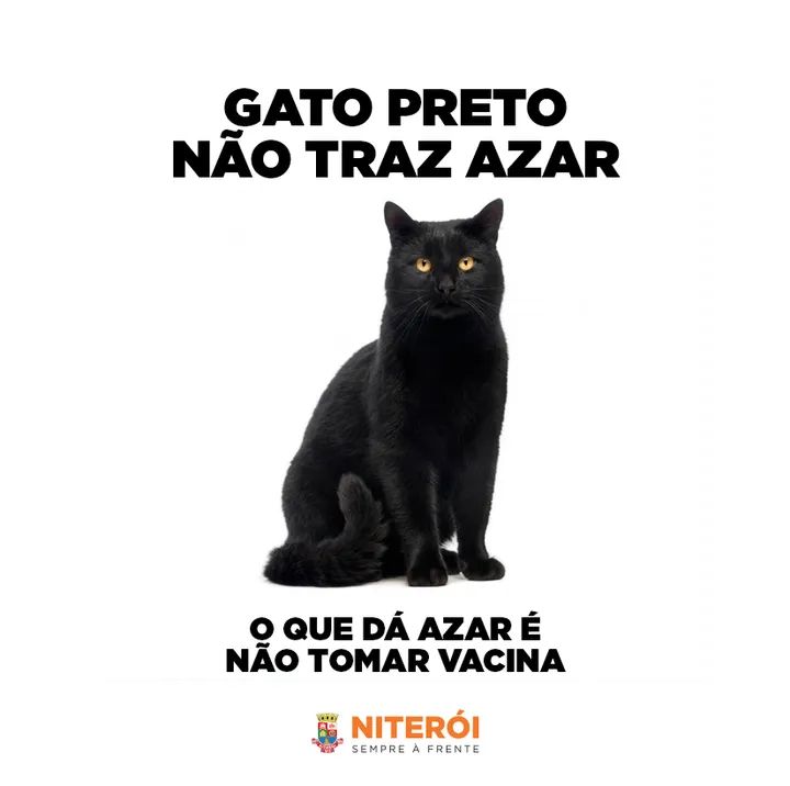 🐱Gato preto não dá azar 