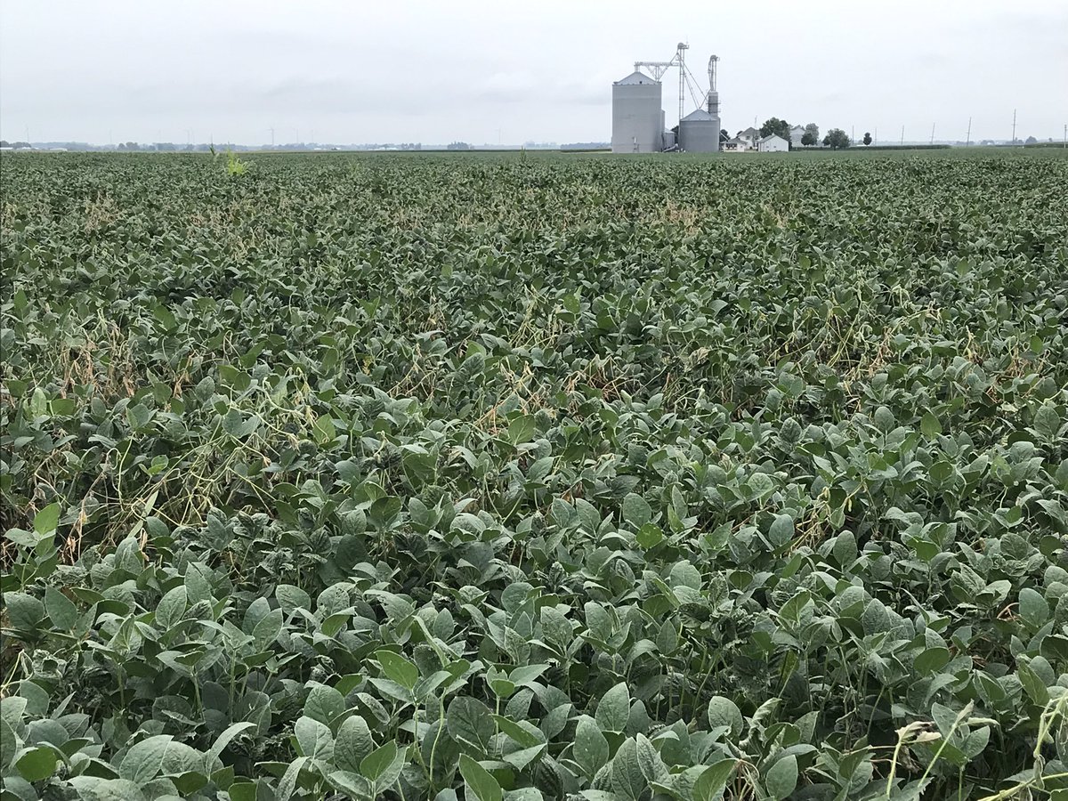 Kevin Gale tweet media