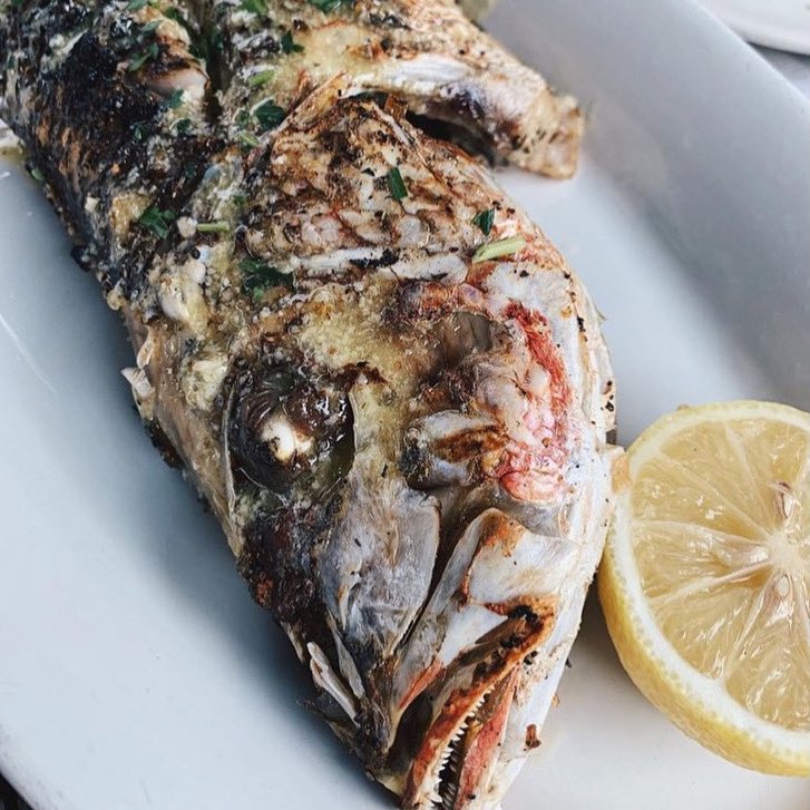 BostonFish's tweet image. 