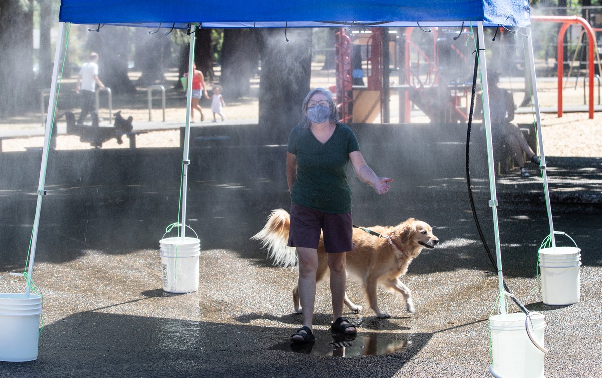 Woman wearing a mask is walking through a misting station with her yellow lab dog during a hot day. Photo provided by Multnomah County. 