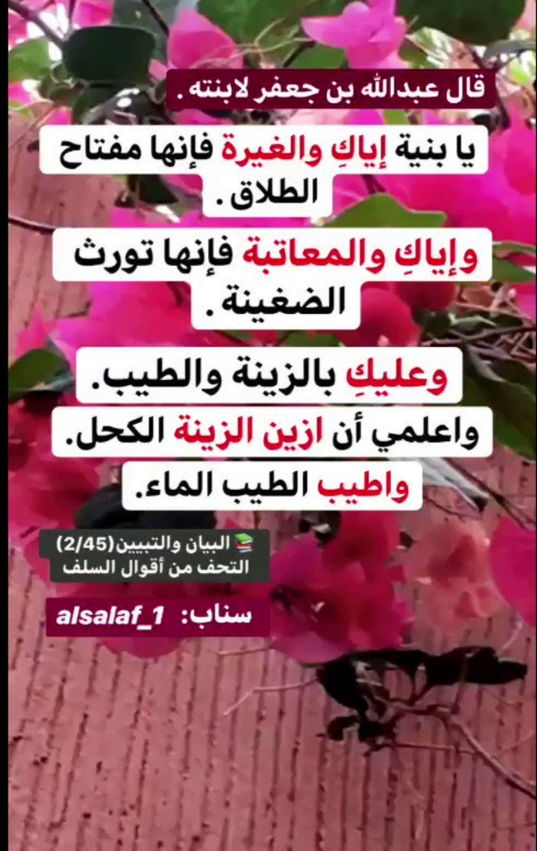 SNHSNH123's tweet photo. https://t.co/ZZDkPr2uDq