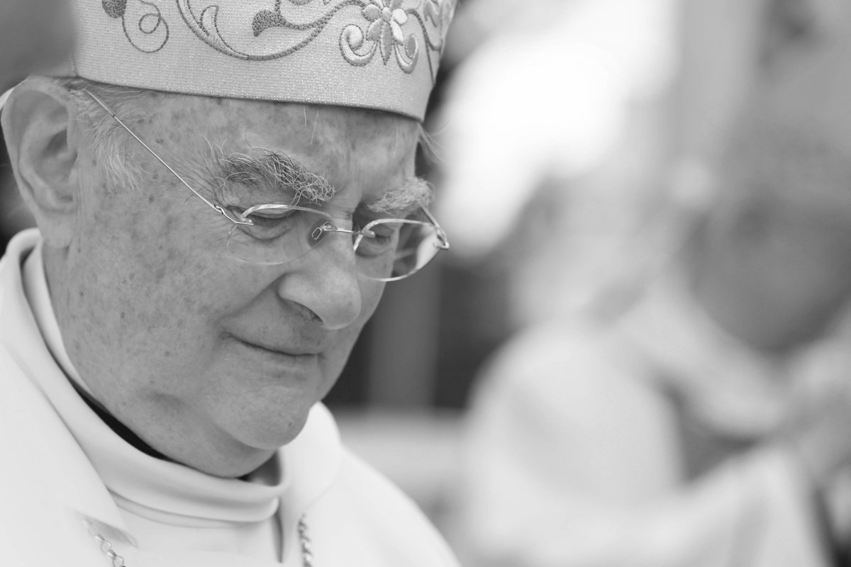à¦Ÿ à¦‡à¦Ÿ à¦° Episkopatnews Dzisiaj Wieczorem Odszedl Do Pana Abp Henryk Hoser Arcybiskup Senior Diecezja Dwp Od 2018 Roku Wizytator Apostolski W Medjugorie Wieczny Odpoczynek Racz Mu Dac Panie Https T Co Hgao04j865 à¦Ÿ à¦‡à¦Ÿ à¦°