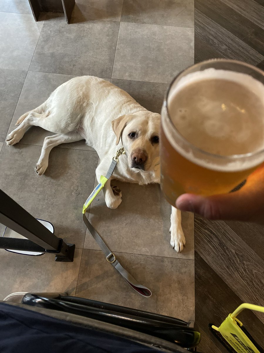 After a week of talking about <a href="/guidedogs/">Guide Dogs</a> access refusals, it’s great to be able to walk into <a href="/popestreetse9/">Pope Street Bar & Kitchen</a>, a bar, order a pint &amp; a bowl of water for Kika comes with it.

No questions, no fuss, no drama. This is the Equality Act 2021 in practise. This is how it should be done.