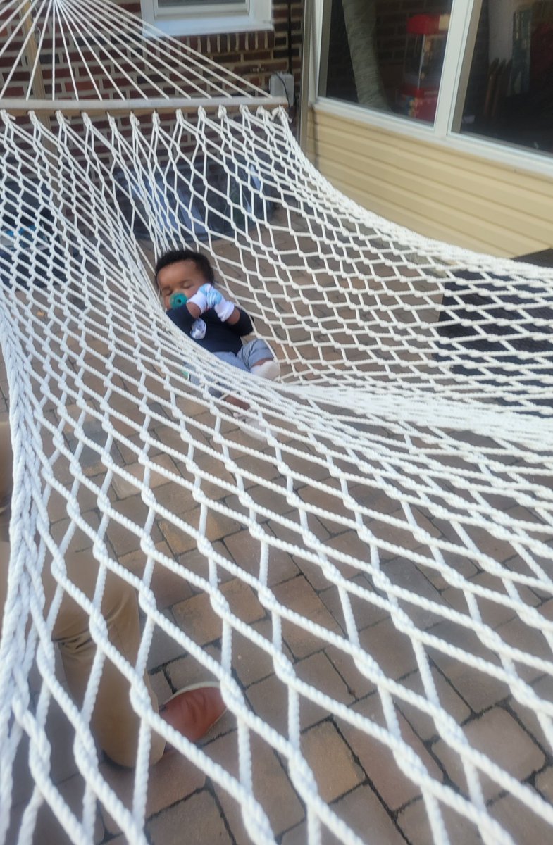 Welp my favorite backyard birding spot has been stolen a little someone! 
Oh well, it's all yours Baby Alan 😍🥰