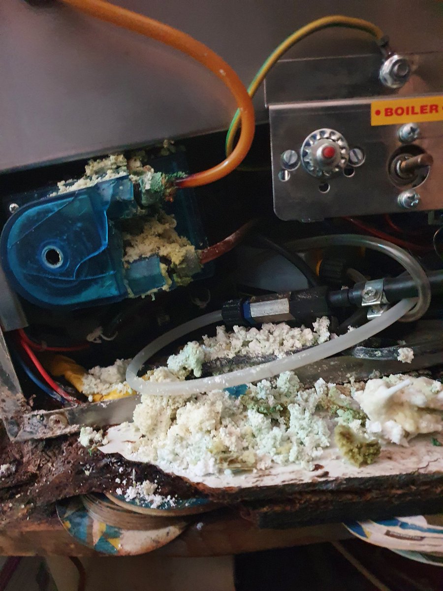 StotekLtd tweet media