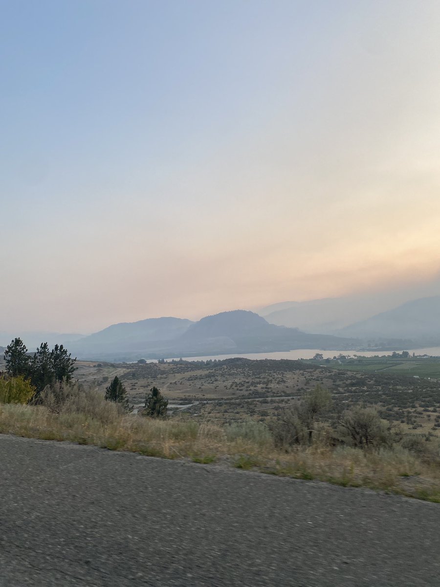 Muddy_____'s tweet photo. I went on a roadtrip this summer here’s some photos https://t.co/9lIoFsfeno