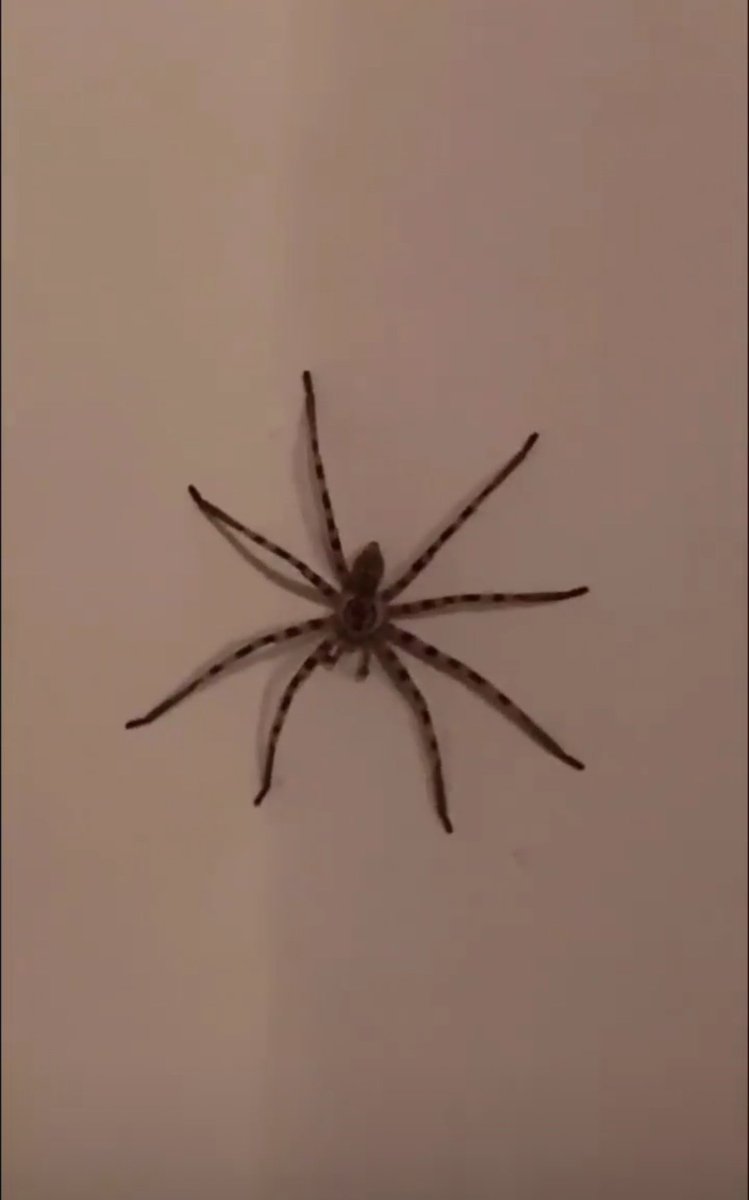 artik yerinde değil😅