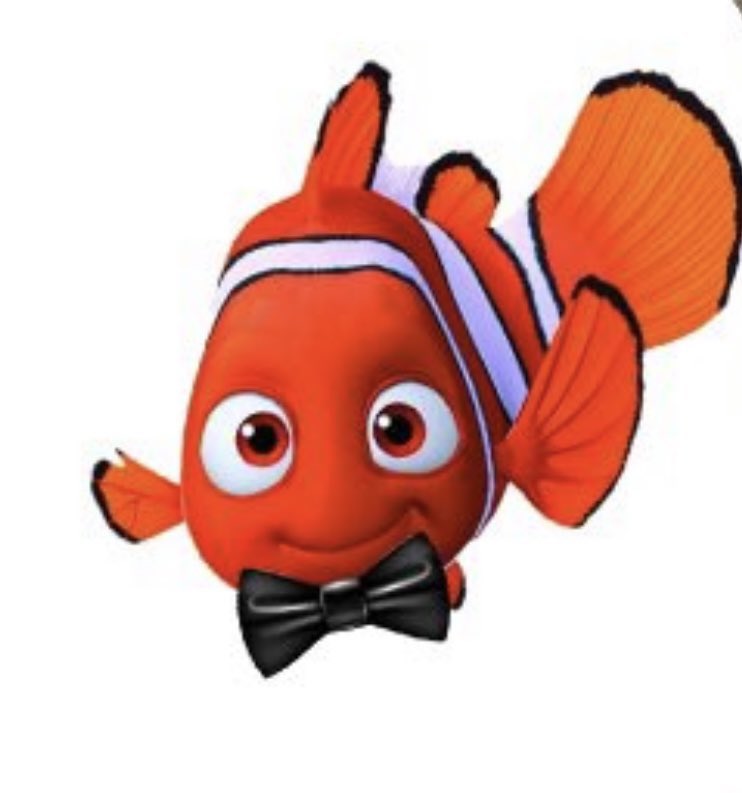 Nemo (@NemoBBTG) / Posts / X