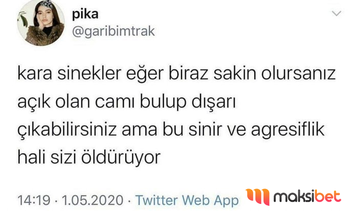MaksibetGiris's tweet photo. 👌 https://t.co/rEB0pRoZw0
