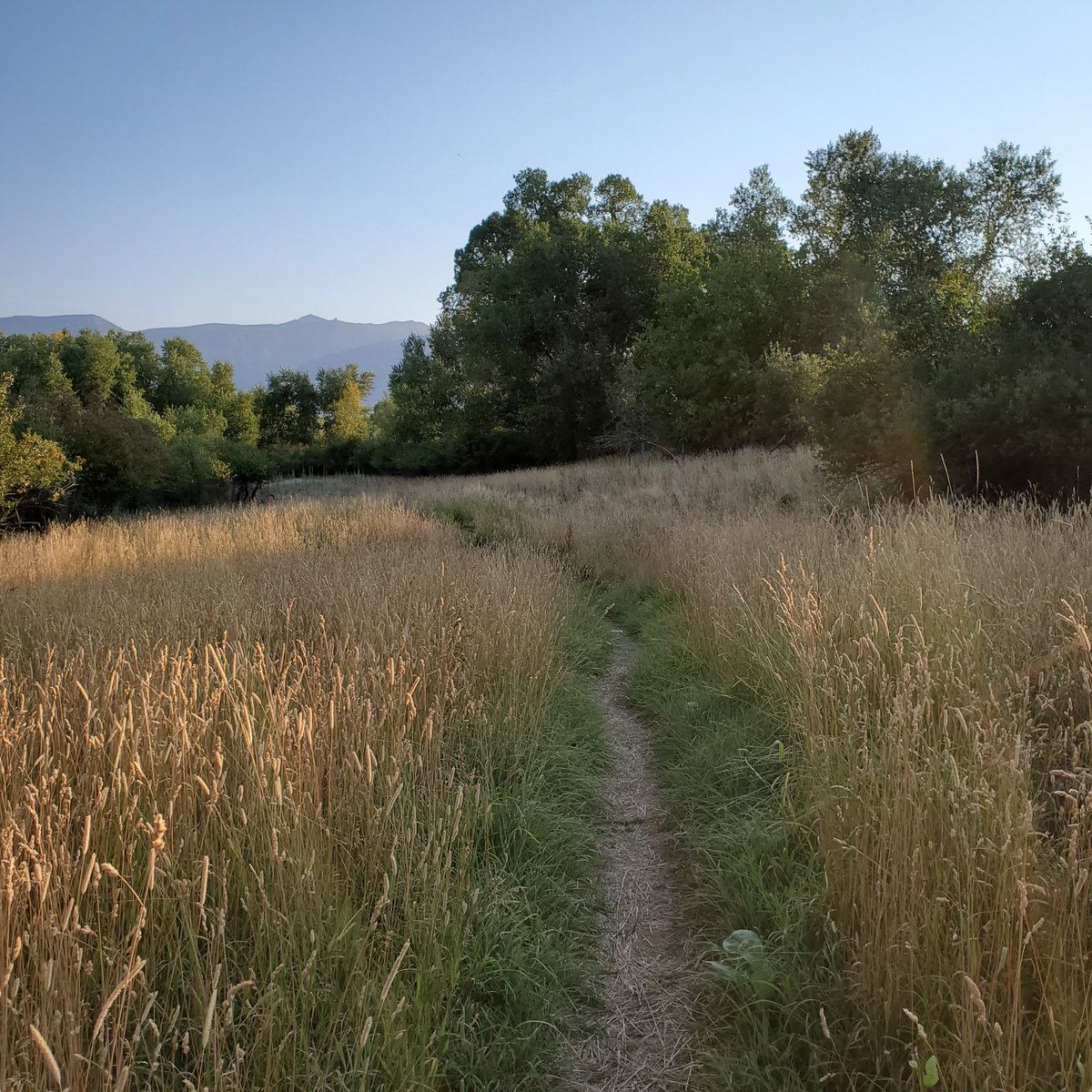Get out and enjoy the gorgeous August weather along The Quarter Circle A Nature Trail!

#goforahike #quartercircleanaturetrail #scenic #littlegoosecreek
