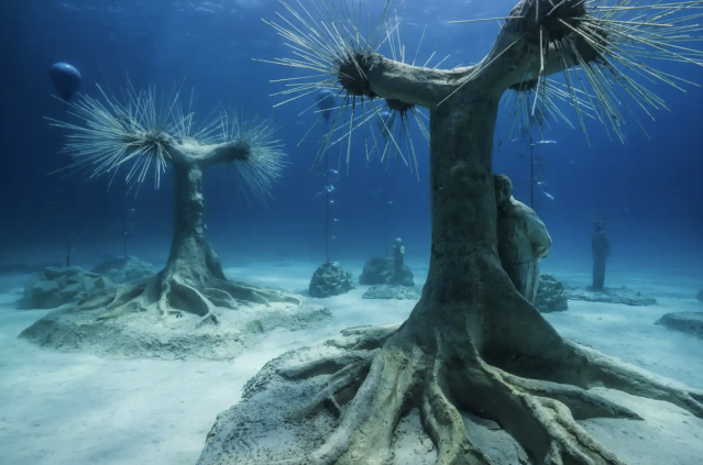 midnightyell's tweet photo. Spectacular underwater museum ‘forest’ opens https://t.co/fmkQWjFEnv https://t.co/wptMBWImZy