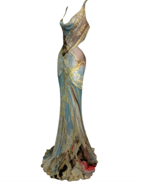 one day i'll be in this roberto cavalli dress