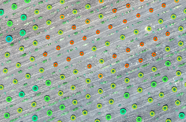 atahaddadi's tweet photo. computer vision and aerial images give growers detailed info about the entire field and each individual plant/tree
What plants need more attention and where you need to start
#treedetection and recognition
#plantstress #irrigation #agtech @ALCanadaLabs #orchard #cannabis https://t.co/0HhVk7xvcI