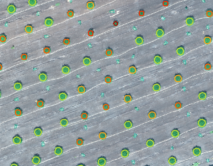 atahaddadi's tweet photo. computer vision and aerial images give growers detailed info about the entire field and each individual plant/tree
What plants need more attention and where you need to start
#treedetection and recognition
#plantstress #irrigation #agtech @ALCanadaLabs #orchard #cannabis https://t.co/0HhVk7xvcI