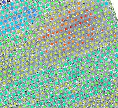 computer vision and aerial images give growers detailed info about the entire field and each individual plant/tree
What plants need more attention and where you need to start
#treedetection and recognition
#plantstress #irrigation #agtech <a href="/ALCanadaLabs/">A&L Canada Laboratories Inc.</a>   #orchard #cannabis