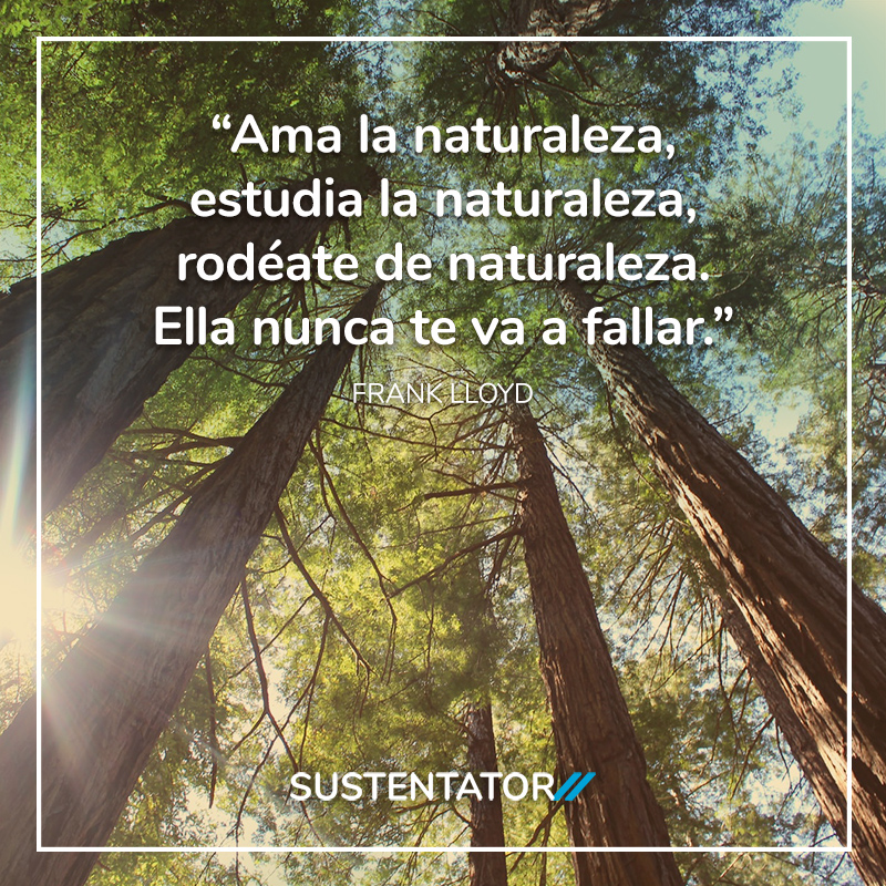 Sustentator tweet media