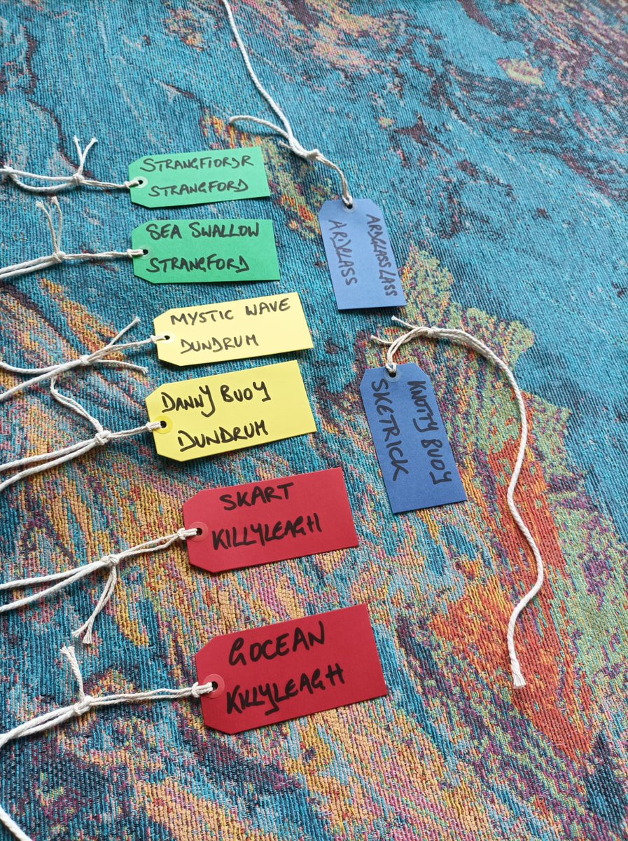 WhiteheadRowers tweet media