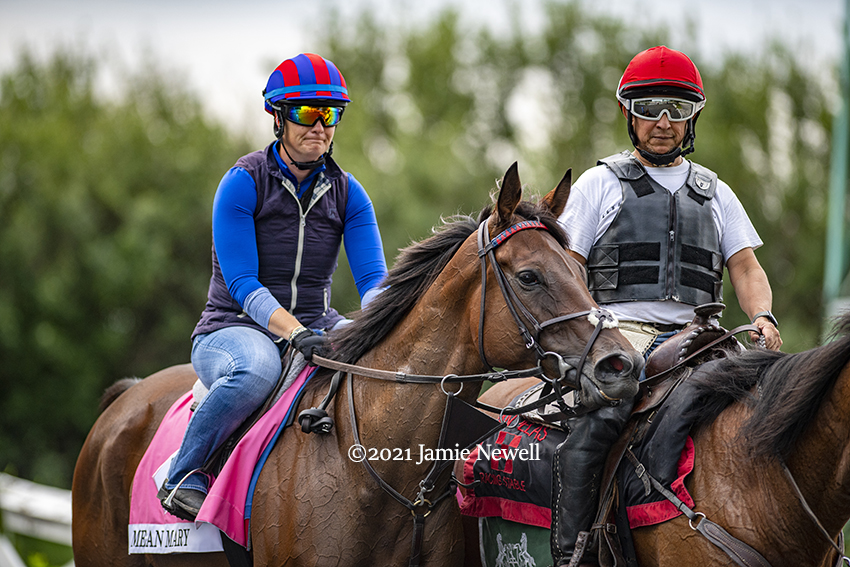 MEAN MARY on track this morning at <a href="/Arlington_Park/">Arlington International</a> in preparation for the G1 Beverly D. Stakes for trainer <a href="/GrahamMotion/">GrahamMotion</a>. The multiple graded stakes-winning daughter of Scat Daddy is looking for her first G1.
