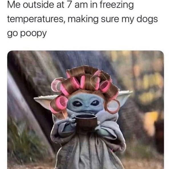 Missinfj's tweet photo. 🤣 https://t.co/fqTkmNVYLh