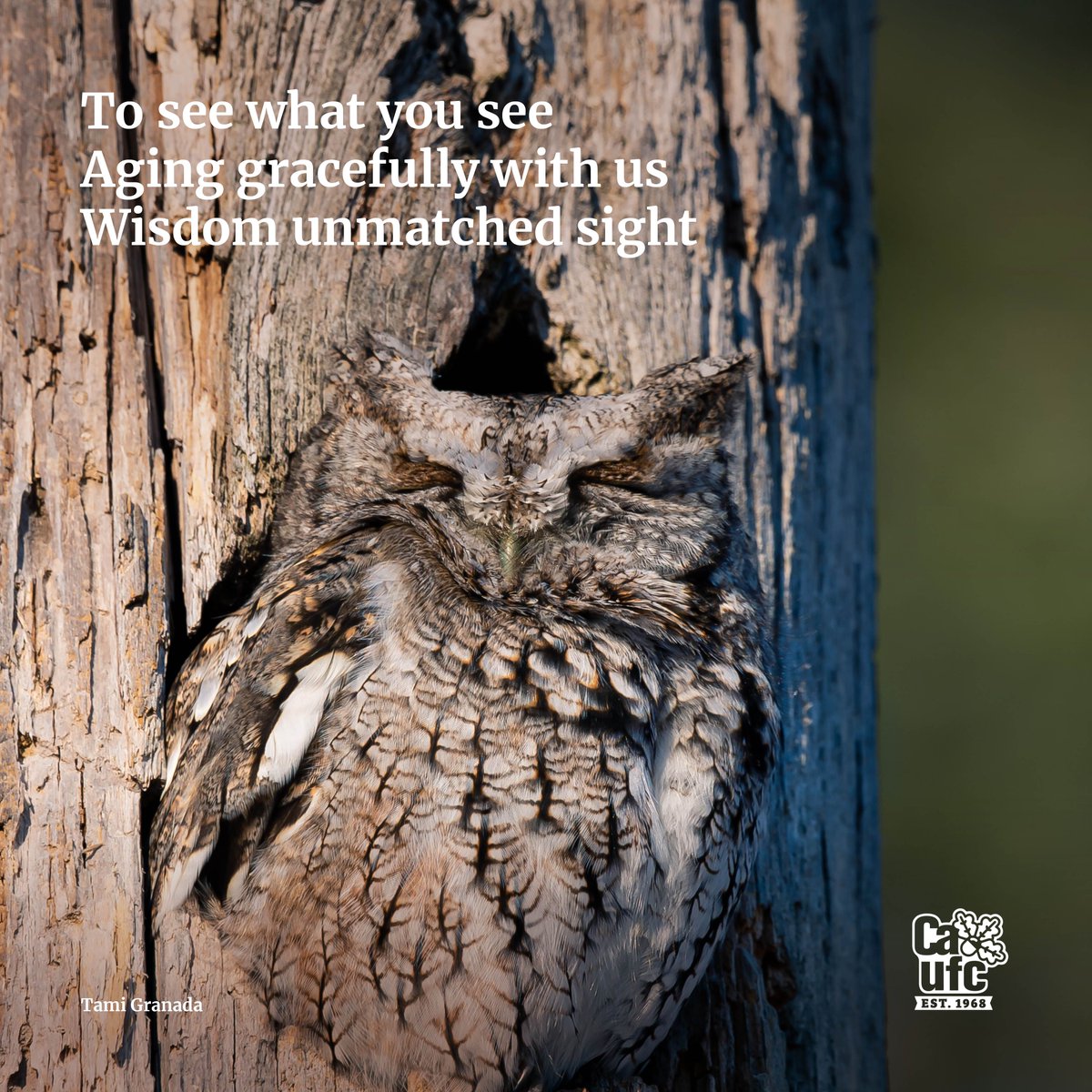 Entered our haiku promotion?
Theme: Birds, bugs, bats, bees…What else relies on trees?
Rules:
-Limit 3 entries/person
-"Keep it clean”
-Close AUG 31
-Enter @ catree.us/haiku21
-We can use your haiku in future promotions
#treesareessential #weneedtrees #trees4all #catrees