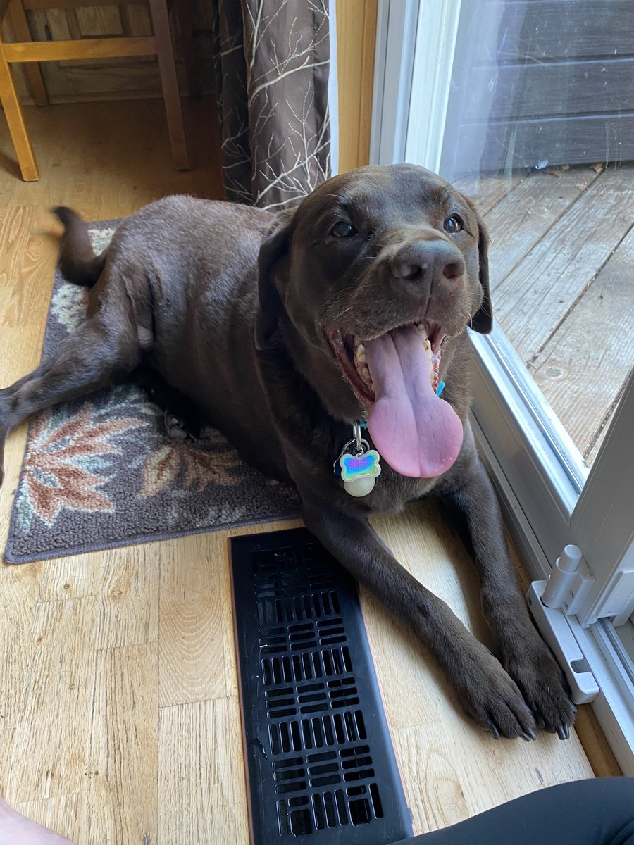 I will miss you so much Sammi. You were the best girl ❤️