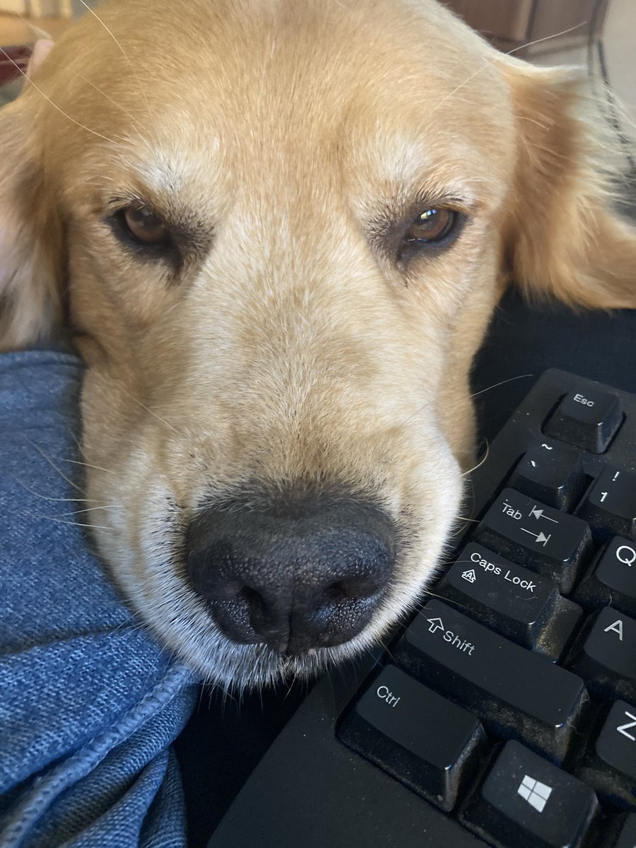 leafgm's tweet image. Is it 5 o’clock yet?