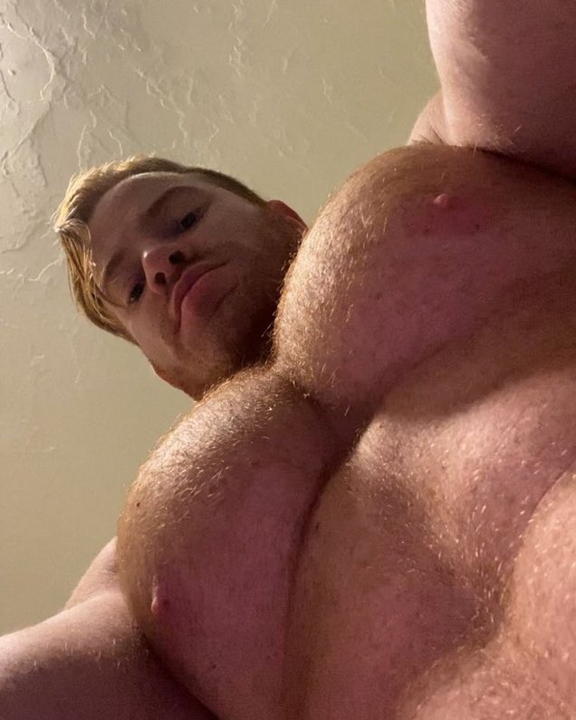 FxtherAngel's tweet image. “Big ole titties.”